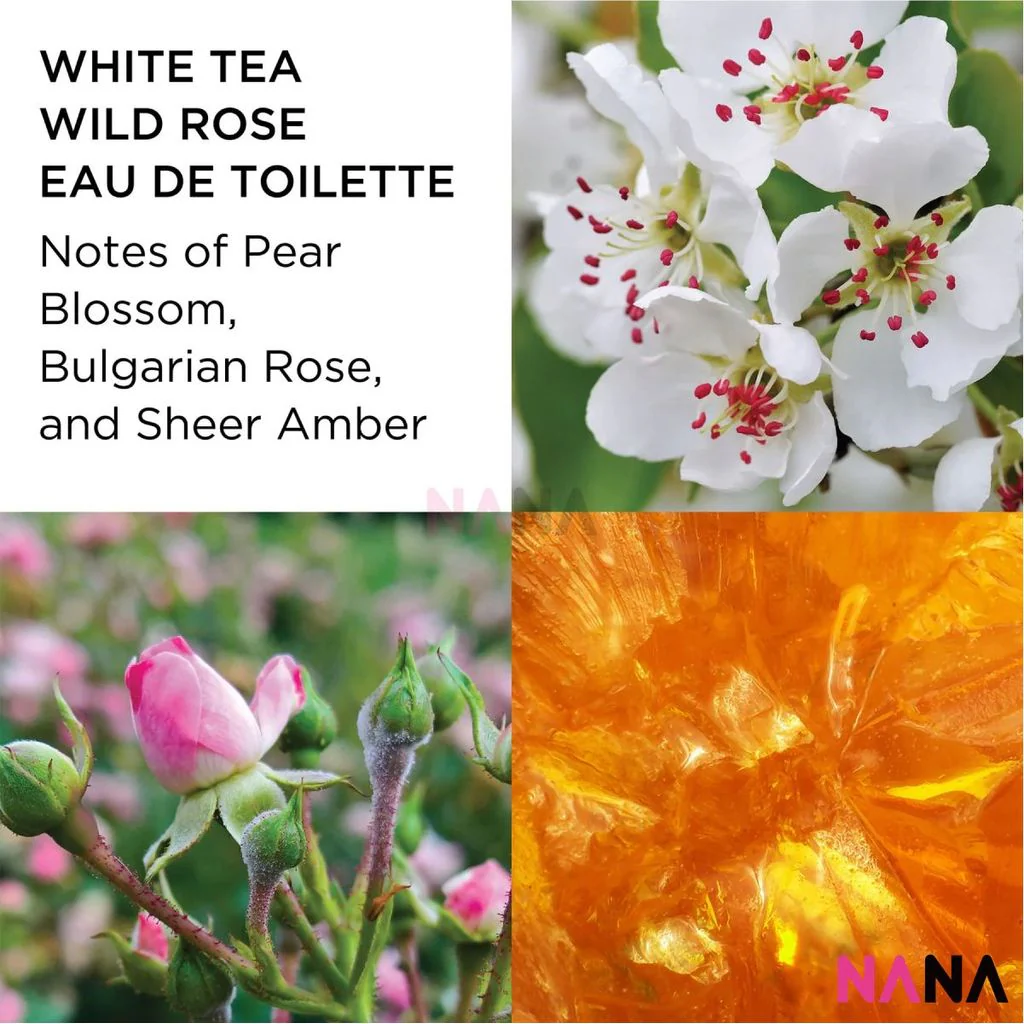 Elizabeth Arden White Tea Wild Rose Body Cream 400ml - Image 3