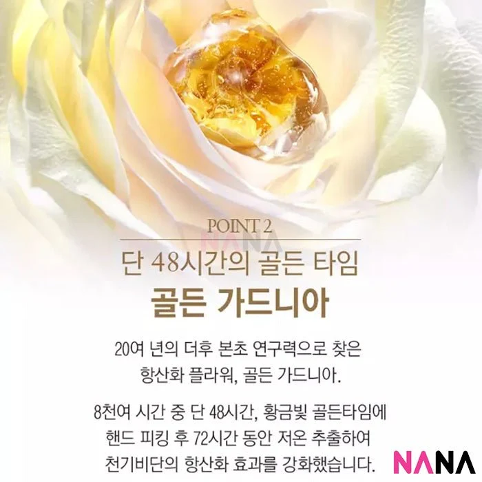 The History Of Whoo Cheongidan Hwahyun Set 7 items - Image 4