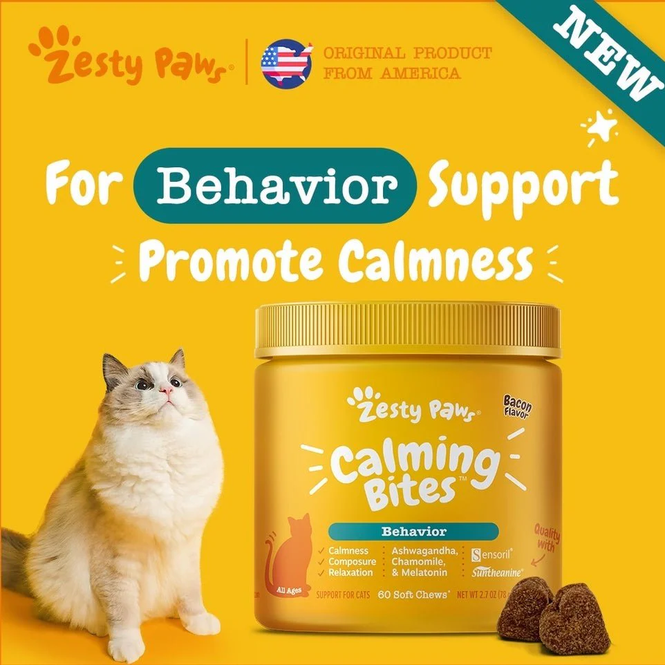 Zesty Paws Premium Quality Cat and Dog Supplements Bites Soft Chews (8-in-1 Multifunctional, Senior Dogs Advanced 11-in-1, Aller-Immune, Probiotic, Calming, Mobility, Omega, Salmon, Cranberry Bladder, Stay Green, Salmon Oil, Hairball & Calming for Cats) - Image 8
