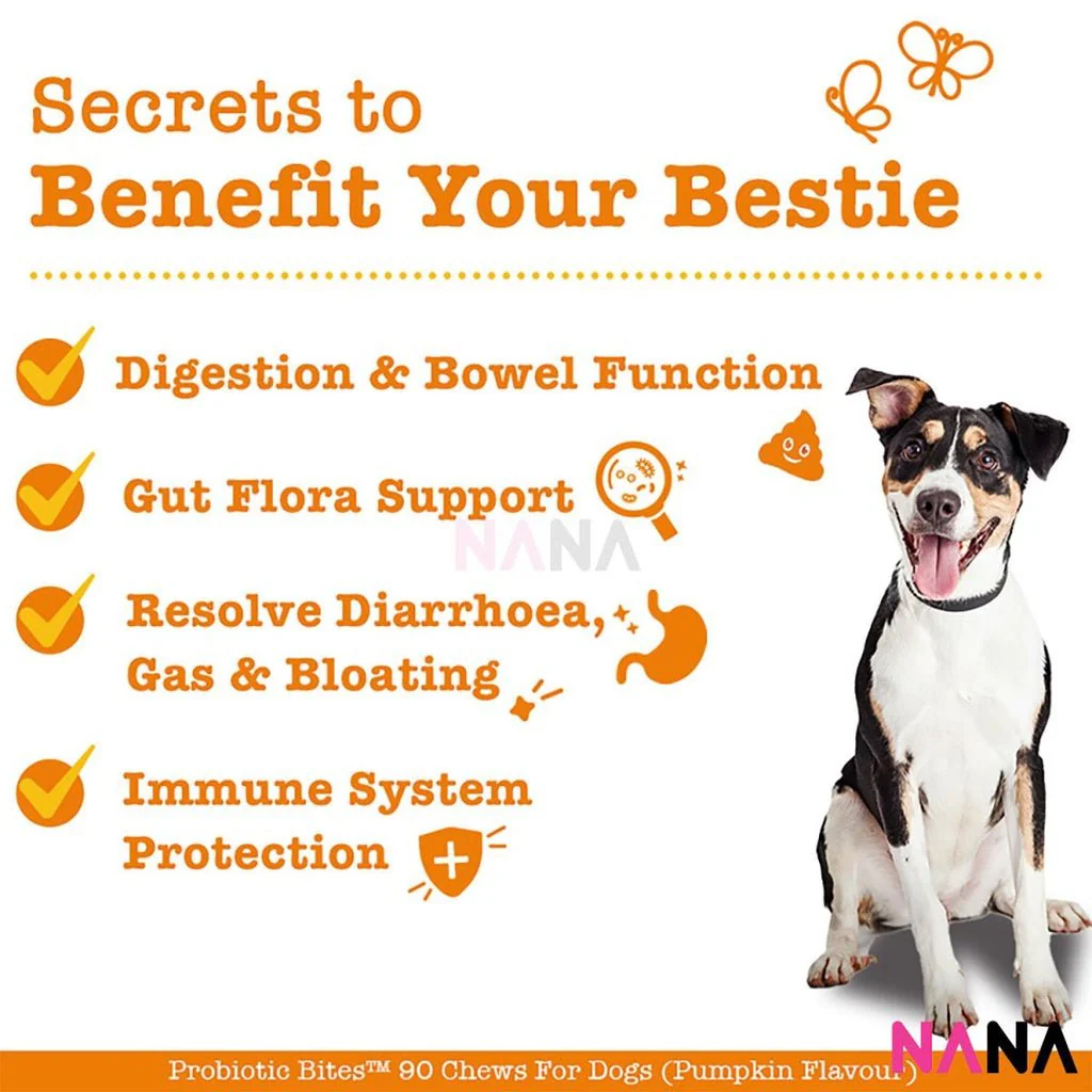 Zesty Paws Probiotic Bites Pumpkin Flavor 90 Soft Chews - Image 3