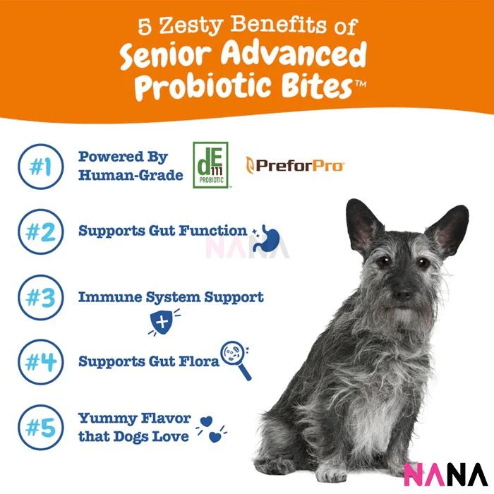 Zesty Paws Senior Advanced Probiotic Bites Chicken Flavor 90 Soft Chews (EXP:08 2026) - Image 3