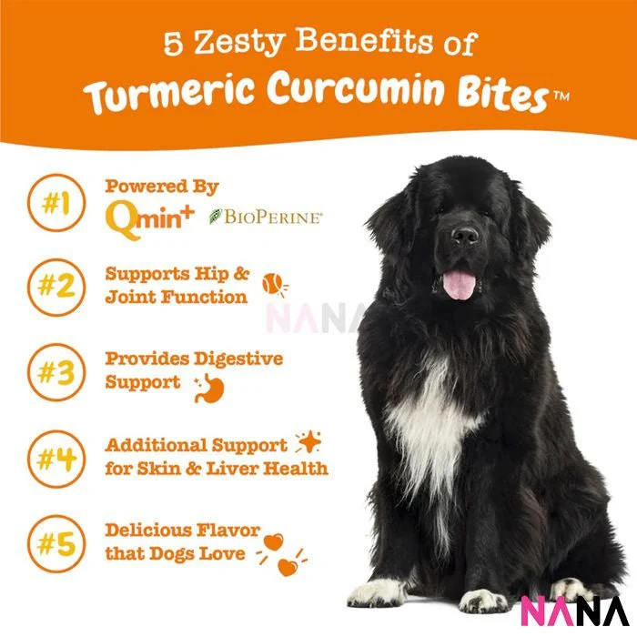 Zesty Paws Turmeric Curcumin Bites - Bacon Flavor 90 Soft Chews - Image 2